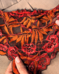 Feuilles Rouges 1